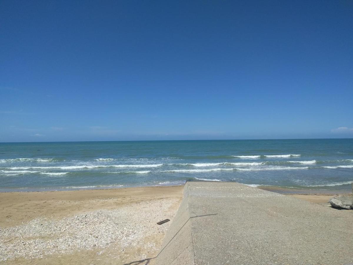 "Le Cocon D'Estelle" Grand Studio Vue Mer, 30M De La Plage Villers-sur-Mer Exteriér fotografie